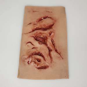 Library: SIM - Disaster/Major incident/Civil Defence package Adult