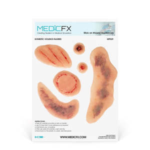 Sheet Domestic Violence (New)