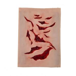 26 Wrap Around Trauma Training: Multiple Lacerations