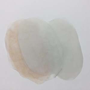 32 Skins Membranes Tissue Consumables: MW000 Fascia Membranes