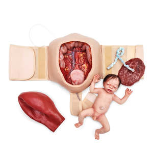 Wearable C-Section Model & Baby Aiden