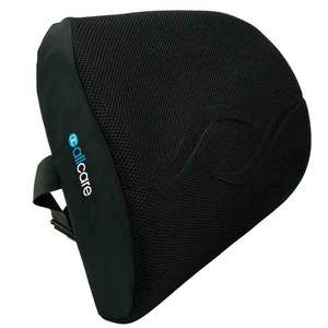 Products: Back Cushion - Deluxe Body Mechanix