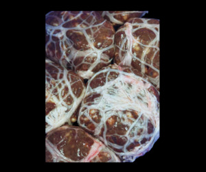 Skilpadjies (6 pieces)