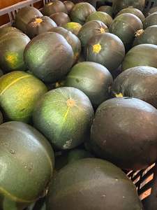 Treats Other: Pumpkin / Gems each