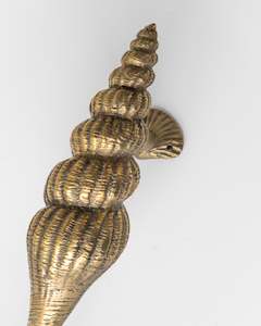 Brass: BRASS SHELL DOOR HANDLE