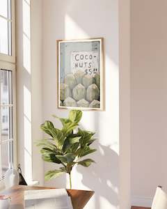 FIVE DOLLAR COCONUTS - FRAMED