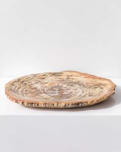 Bathroom: PETRIFIED WOOD DISH