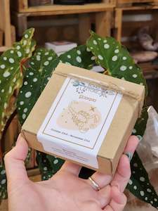 Zodiac Collection: Scorpio Zodiac Box