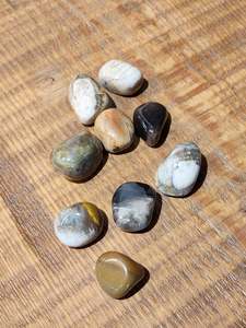 Crystals: Petrified wood