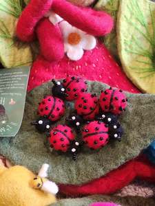 The Woodlands: Ladybug