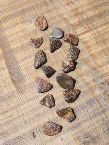 Tumbles: Star jasper