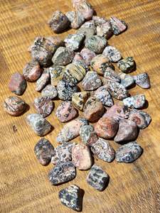 Strength Protection: Leopard Skin Jasper Tumble