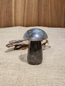 One Of A Kind Finds: Large Smokey Quartz Mushroom "Lily"