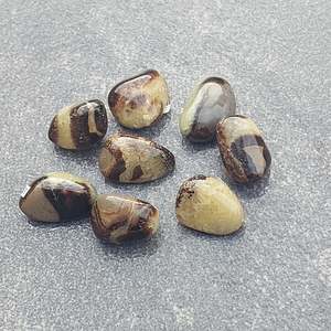 Tumbles: Septarian Tumble