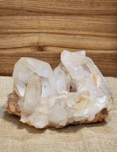 Balance Healing: Golden Healer Cluster "Soren"