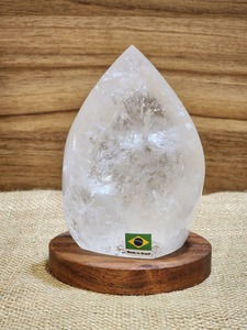 Live Sale: Leeanne - Auction Sale