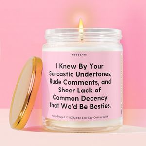 I Knew By Your Sarcastic Undertones, Rude Comments, and Sheer Lack of Common Dec&hellip;