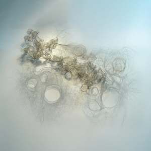 Eric Gushee: Exhalation #3