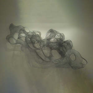 Eric Gushee: Exhalation #2