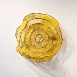 Eric Gushee: Emergence Y Series #1