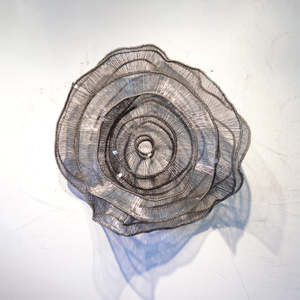 Eric Gushee: Emergence S.B. Series #1