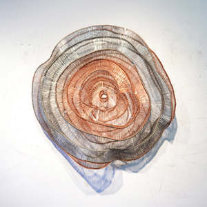 Emergence C.S. Series #1