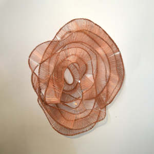 Eric Gushee: Emergence C Series #1