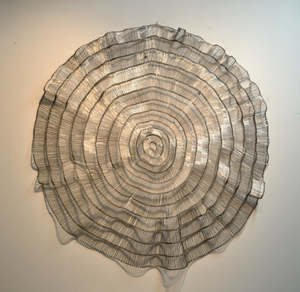 Eric Gushee: Emergence Series Floppy Disc #1