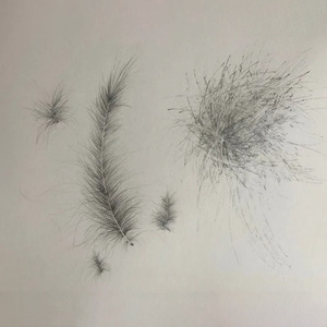 Samuelle Green: Arrangement 1