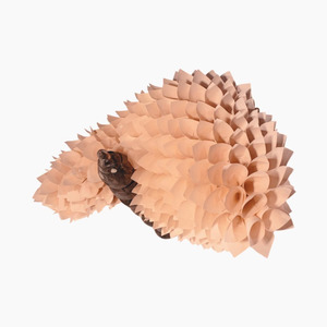 Samuelle Green: Dragon Baby