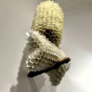 Samuelle Green: How Cats Sleep