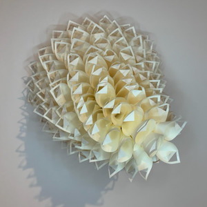 Samuelle Green: Geometric Bloom