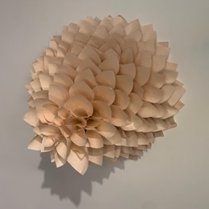 Samuelle Green: A Species of Live Forever’s 3