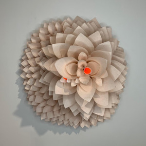 Samuelle Green: A Species of Live Forever’s 1