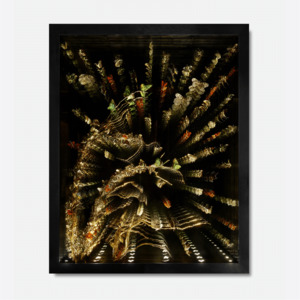 Jocelyn Marsh: Infinite Butterflies - Meadow by Jocelyn Marsh for Coup Studio