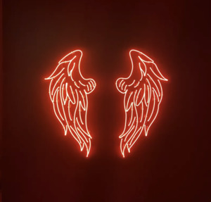 Beau Dunn: Fallen Angel