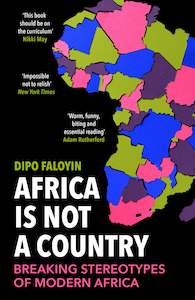 Perfectly Imperfect: Africa Is Not A Country Damaged