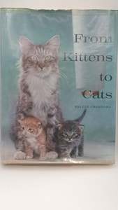 From Kittens to Cats by Walter Chandoha