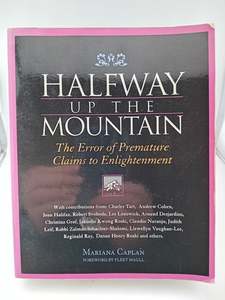 Halfway up the Mountain by Mariana Caplan