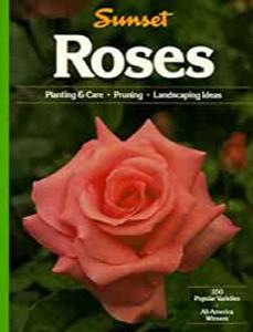 Roses: Roses by Sunset Books