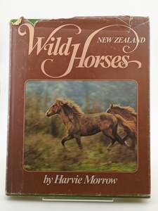 New Zealand Wild Horses by Harvie Morrow