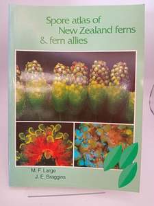 Spore atlas of New Zealand ferns & fern allies by M. F Large