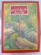 Australian Painter's Series: How to Paint Australian Bush by Jim Hays