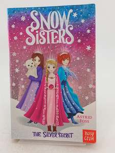 Childrens Fiction: Silver Secret by Astrid Foss