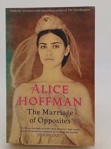 Historical Fiction: The Marriage of Opposites by Alice Hoffman