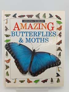Amazing Butterflies & Moths by John Still,Jerry Young