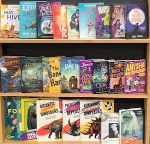 Final Boxes: Fun In the Sun Chapter Book (Age 8-12) Bargain Book Box