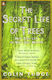 The Secret Life of Trees: How They Live and Why They Matter