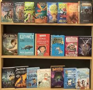 Newarrivals: Chapter Book (Age 8-12) Bargain Book Box