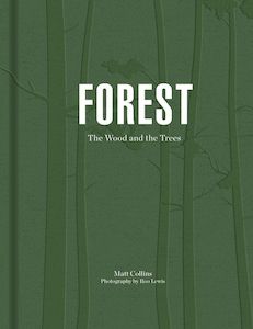 Great Gift Ideas: Forest: Walking among trees